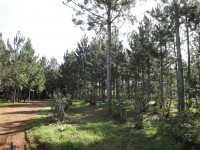 /album/hogaralemanobera/a5-jpg/