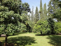 /album/hogaralemanobera/a13-3-jpg/