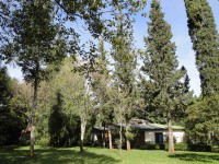 /album/hogaralemanobera/a16-7-jpg/